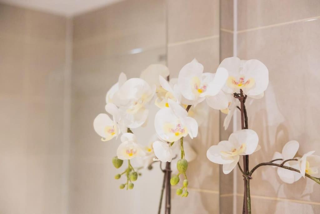 Cosy City Centre Apartment With Parking Birmingham Luaran gambar